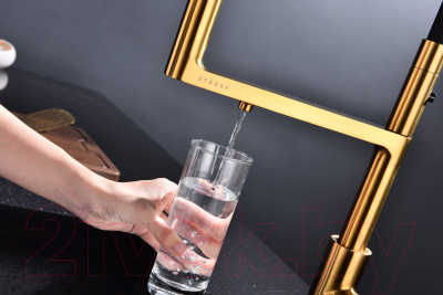 Смеситель Paulmark Tornado To213402-BG