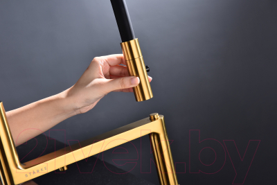 Смеситель Paulmark Tornado To213402-BG