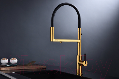 Смеситель Paulmark Tornado To213402-BG