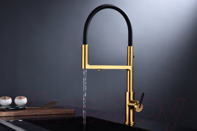 Смеситель Paulmark Tornado To213402-BG