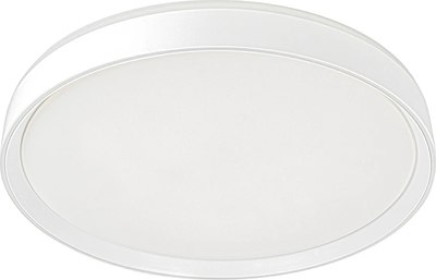 Потолочный светильник Citilux Boss CL751450G