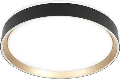 Потолочный светильник Citilux Boss CL751351G - фото