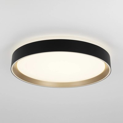 Потолочный светильник Citilux Boss CL751351G