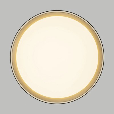 Потолочный светильник Citilux Boss CL751351G