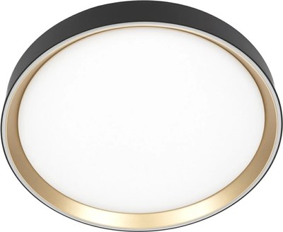 Потолочный светильник Citilux Boss CL751351G