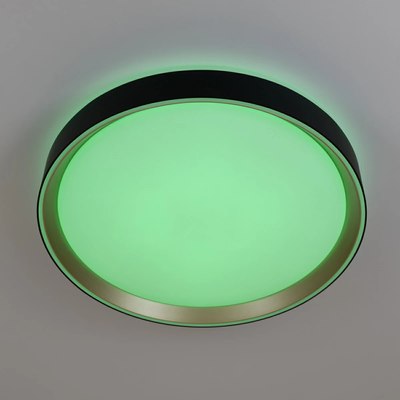 Потолочный светильник Citilux Boss CL751351G