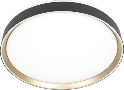 Потолочный светильник Citilux Boss CL751451G - фото