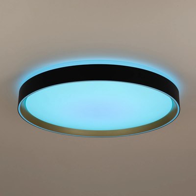 Потолочный светильник Citilux Boss CL751451G