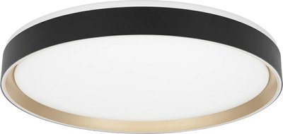 Потолочный светильник Citilux Boss CL751451G