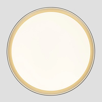 Потолочный светильник Citilux Boss CL751451G