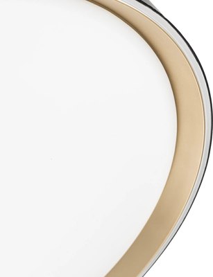 Потолочный светильник Citilux Boss CL751451G