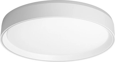 Потолочный светильник Citilux Boss CL751350G