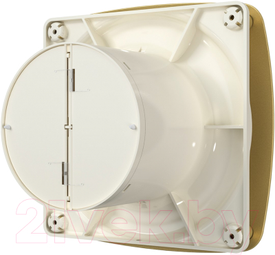 Вентилятор накладной Diciti Rio D100 4C