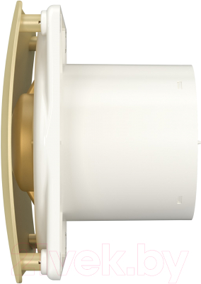 Вентилятор накладной Diciti Rio D100 4C