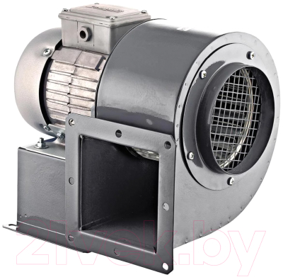 Вентилятор радиальный ERA Pro Buran 200 2K M L - фото