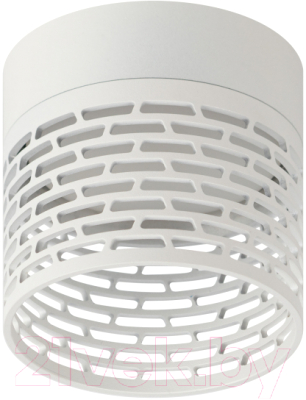 Точечный светильник ЭРА OL53 WH / Б0061189 - фото