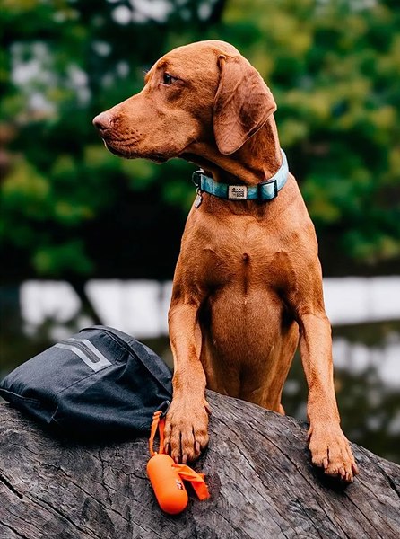 Пакеты для выгула собак Explorer Dog TED0014