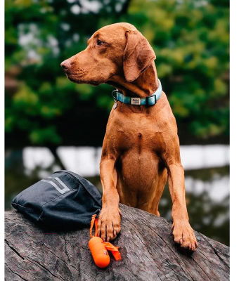 Пакеты для выгула собак Explorer Dog Биоразлагаемые / TED0039