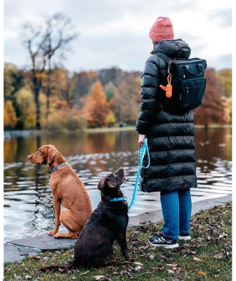 Пакеты для выгула собак Explorer Dog Биоразлагаемые / TED0039