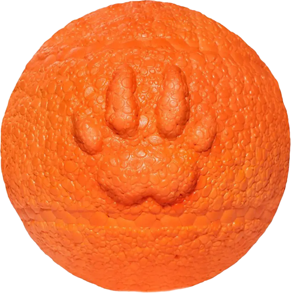 Игрушка для собак Explorer Dog TED133 - фото