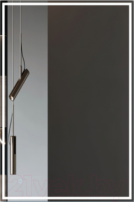 Зеркало Алмаз-Люкс Darwin 12080s-6 - фото