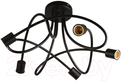 Потолочный светильник Mirastyle BL-0913/5B BK - фото