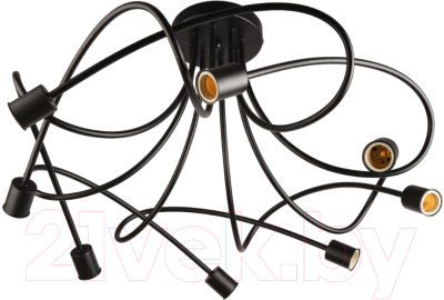 Потолочный светильник Mirastyle BL-0913/8B BK - фото