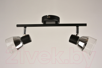 Спот Mirastyle BL-2844/2 BK+CR