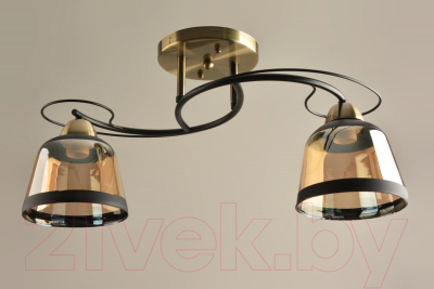 Потолочный светильник Mirastyle BL-7605/2 AB+BK