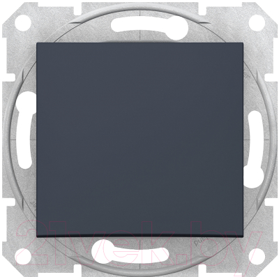 Выключатель Schneider Electric Sedna SDN0400170 - фото