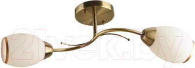 Потолочный светильник Mirastyle BL-7616/2 AB - фото