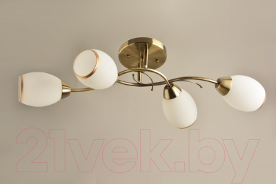 Потолочный светильник Mirastyle BL-7616/4 AB