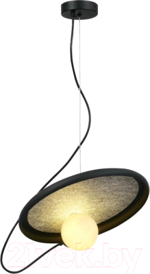 Потолочный светильник Moderli Cosmi / V10695-PL - фото