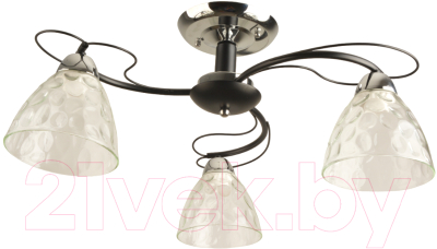 Потолочный светильник Mirastyle BL-7760/3 CR+BK - фото