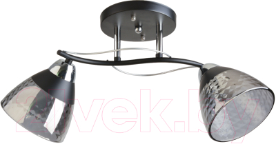 Потолочный светильник Mirastyle BL-8199/2 BK+CR - фото