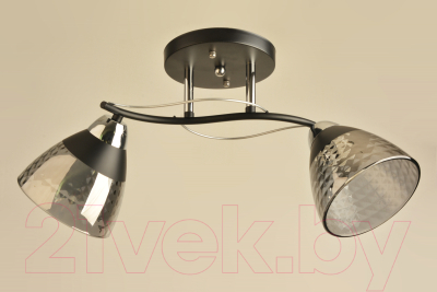 Потолочный светильник Mirastyle BL-8199/2 BK+CR