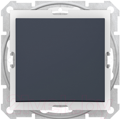 Выключатель Schneider Electric Sedna SDN0400570 - фото