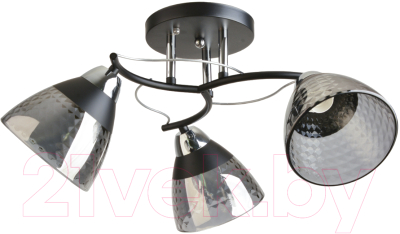 Потолочный светильник Mirastyle BL-8199/3 BK+CR - фото
