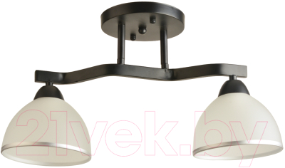 Потолочный светильник Mirastyle BL-8205/2 BK - фото