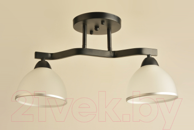 Потолочный светильник Mirastyle BL-8205/2 BK