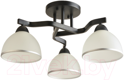 Потолочный светильник Mirastyle BL-8205/3 BK - фото