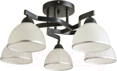 Потолочный светильник Mirastyle BL-8205/5 BK - фото