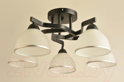 Потолочный светильник Mirastyle BL-8205/5 BK