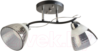 Потолочный светильник Mirastyle BL-8224/2 BK+CR - фото