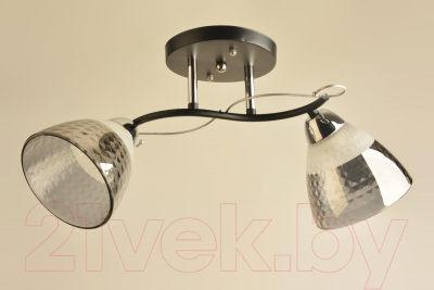 Потолочный светильник Mirastyle BL-8224/2 BK+CR