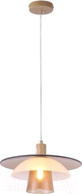 Потолочный светильник Moderli Sydney / V11028-1P - фото