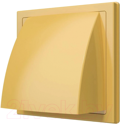 Решетка вентиляционная ERA 1919К15.16ФВ с выходом - фото