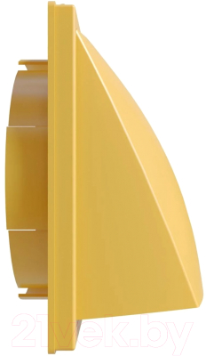 Решетка вентиляционная ERA 1919К15.16ФВ с выходом