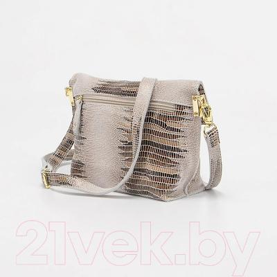 Сумка Poshete 857-6642-A238-LGR