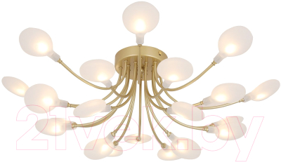 Люстра F-Promo 4197-20C - фото